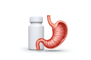 Human Stomach Beside Medicine Bottle