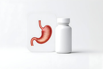 Human Stomach Beside Medicine Bottle