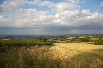 Naklejka premium Farmland at Lark Stoke, Cotswolds