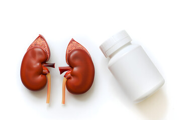 Human Kidneys and Medicine Bottle