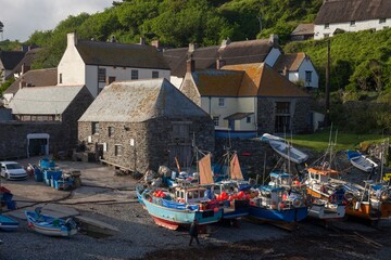 Obraz premium Fishing boats at Cadgwith Cove, Cornwall, England