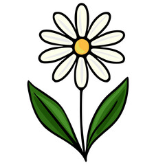 A charming vector illustration of a single daisy with white petals, a yellow center, and two vibrant green leaves against a clean white background, perfect for decorative purposes.