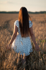 Girl walking through a wheat field in a white dress at sunset. A girl with long chestnut hair in a light summer dress walks away from the camera through a golden wheat field