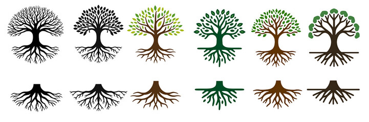 Naklejka premium Tree Growth Stages with Roots Illustration – Nature Ecology Concept
