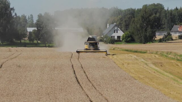 Combine harvester threshing the grain with spectacular farm in background. Drone view over wheat fields in a sunny day. 