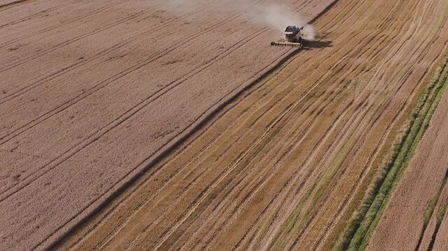 Combine harvester threshing the grain with spectacular farm in background. Drone view over wheat fields in a sunny day. 