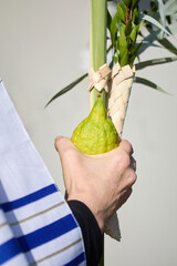 Succot. Jewish man in a Tallit praying while waving the Four Species, Lulav and Etrog
