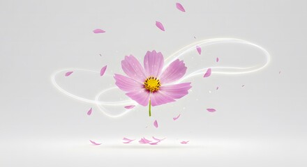 Floating Pink Cosmos Flower with Glowing Light Swirls and Delicate Falling Petals