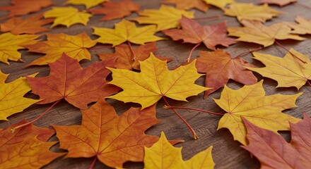 Autumnal Maple Leaf Mosaic: Vibrant Yellows and Oranges on Wood Grain