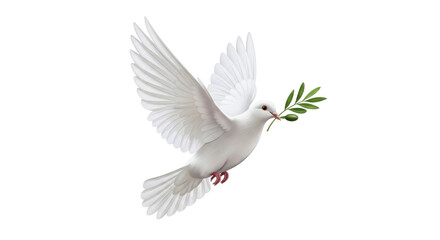 Isolated dove holding an olive branch for peace, symbol of freedom, hope, and reconciliation