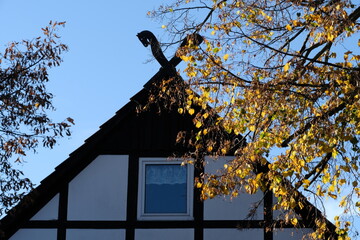 Giebel eines Fachwerkhauses