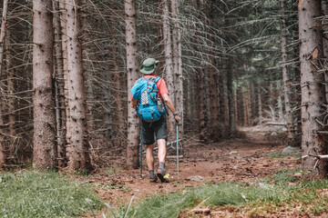 Obraz premium Man hiking in a dense forest, looking up, holding trekking poles. Active outdoor lifestyle and adventure in nature