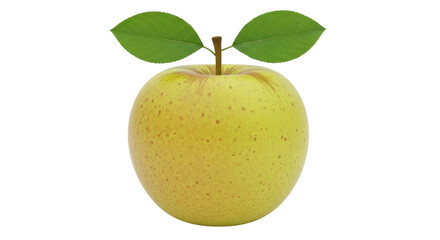 Isolated close-up view of a single yellow apple with two leaves against a neutral backdrop
