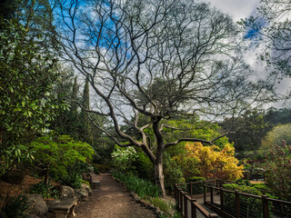 Left Path Or Right Garden Path