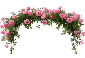 Pink Rose Arch Garland isolated on a transparent background