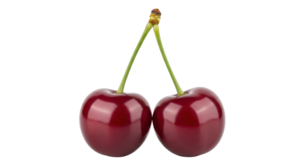 Isolated pair of ripe red cherries with stems, fresh fruit for dessert, healthy food item