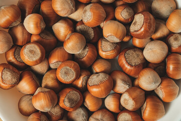 Harvested hazelnuts piled in a bowl creating an earthy natural display