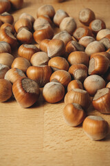 Harvesting hazelnuts from the orchard in autumn, a season of abundance