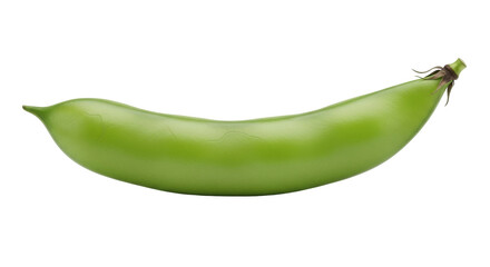 Isolated fava bean pod, fresh vegetable, raw ingredient for Mediterranean cuisine