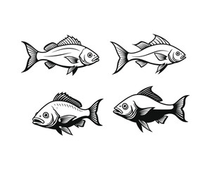 Four hand drawn sketch style illustrations of various fish species showcasing different poses and detail levels