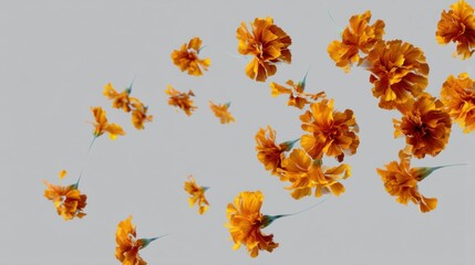 Group of orange flowers flying in the air. the flowers are in full bloom and appear to be marigolds.
