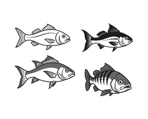 Collection of four hand drawn vintage style fish illustrations featuring different species in black and white sketch style
