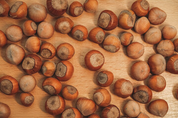 Harvest season brings an abundance of freshly harvested hazelnuts on display