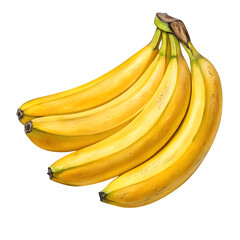 A bunch of ripe yellow bananas with green stems isolated on transparent background
