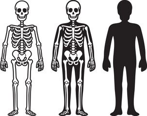 人間と骨