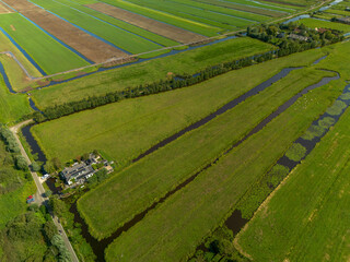 Fototapeta premium Aerial view of rural landscape with rectangular fields, water canals, two houses, paved road, and bridge showcasing structured agriculture and integrated habitation.