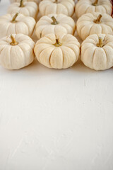 White mini Baby Boo pumpkins arranged in a flat lay composition with ample copy space below, symbolizing autumn, harvest, Thanksgiving, and Halloween concepts on a textured white surface