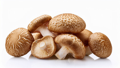 Shiitake Mushroom On The White Background