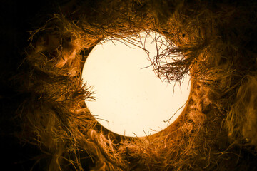 Mysterious glowing orb of warm light shines from dark abstract nest. round shape provides cozy and intriguing background for concepts of energy, hope, and birth