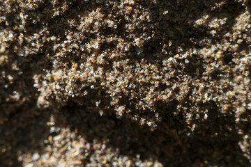 Macro close up detail of natural brown grainy sand texture background. Sunlight highlights rough surface of soil, revealing intricate patterns and earth tone color