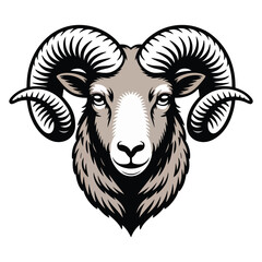 vector illustration of a sheep