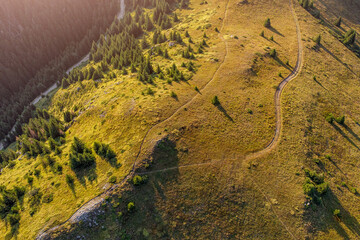 Aerial view showing winding dirt path across a sunlit mountain ridge with scattered pine trees and forest below