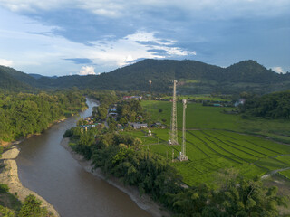 Serene rural landscape with winding river flowing past vibrant green rice fields and dense forests....