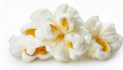 Isolated White Popcorn Flower