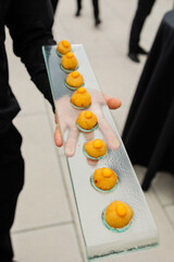 platter of mini fried rice balls being held out on platter by cater waiter at outdoor event