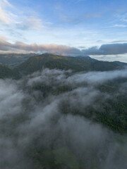 Expansive aerial view captures serene mountain landscape. Soft, swirling fog and low lying cloud embrace vibrant green forest, revealing majestic peaks. tranquil nature scene where morning mist