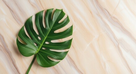 A vibrant green deeply lobed leaf with natural perforations rests on a polished light beige surface featuring subtle flowing vein patterns