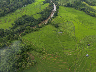 Aerial view of verdant rice terraces, tranquil river winding through lush green mountain landscape,...