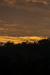 Tranquil sunset sky casts golden orange glow above peaceful forest silhouette, creating serene and beautiful nature landscape. atmospheric view evokes calm evening, full of peace