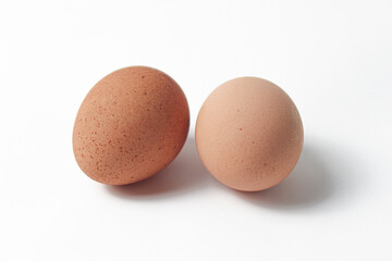 chicken egg image with 4k resolution