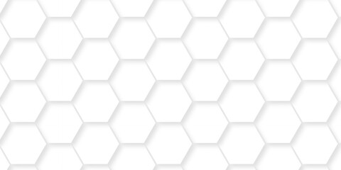 Naklejka premium Background with white and black lines Hexagonal structure futuristic white background and Embossed Hexagon, honeycomb white grid space business texture design.