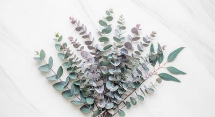 Eucalyptus branches with round and elongated leaves showing green and purplish hues arranged on a white marble surface with subtle veining