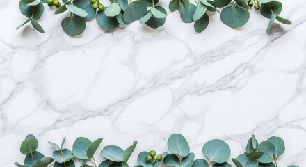 Eucalyptus leaves and berries frame a white marble background with grey veining Green foliage borders the top and bottom of the smooth stone surface