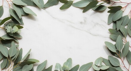 Eucalyptus leaves frame a white marble surface creating an empty central space