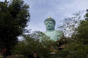 Large, serene Buddha statue emerges from lush green foliage and towering trees, showcasing...