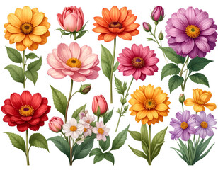 Obraz premium Set of garden flowers, cut out